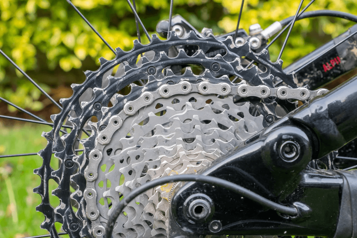 Close-up of a bicycle chain on a cassette